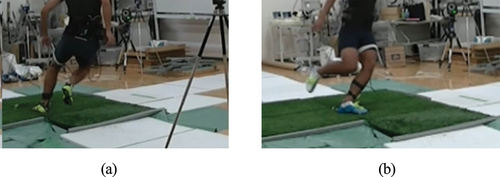 Figure 1. Two types of cutting motion measured in a participant: (a) Side-step cutting (the participant touches the ground with the left foot and turned to the right); (b) Cross-step cutting (the participant touches the ground with the left foot and turns to the left).