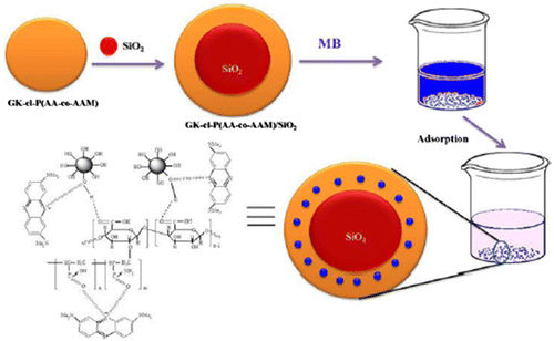 Figure 7 Illustration of MB removal by gum karaya grafted with poly(acrylic acid acrylamide) nanocomposite hydrogelCitation66