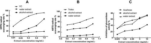 Figure 1 In vitro studies showing the effects of water extracts and alcohol extracts of Ta-ermi on DPPH radicals (A), ABTS radicals (B), and glucosidase activities (C). The positive control compound with varying concentrations used in each experiments was Vitamin C (A), Trolox (B), and acarbose (C).