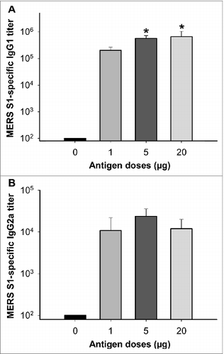 Figure 2. Comparison of antibody subtypes induced by S377-588-Fc at different antigen doses. Mice were immunized without (0 µg) or with 1, 5, or 20 µg of S377-588-Fc, and sera from 10 d post-last immunization were tested for MERS-CoV S1-specific IgG1 and IgG2a subtypes by ELISA. The titers were expressed as the endpoint dilutions that remained positively detectable, and the values are presented as mean ± SD from 5 mice in each group. Significant differences were noted in the IgG1 responses between the groups immunized with 5 or 20 µg, respectively, and 1 µg of MERS-CoV RBD (*).