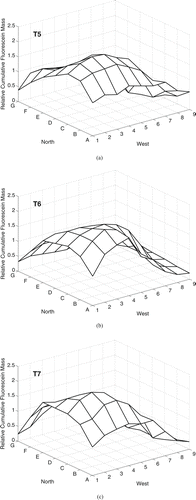 FIG. 3 Cumulative fluorescein mass deposition, relative to the mean value in each trial, on the chamber floor for particles with nominal da = 14 μ m under natural mixing conditions over 90 min (20 min aerosol release followed by 70 min of deposition). Aerosol was released 0.64 m above the floor at grid point 7C.