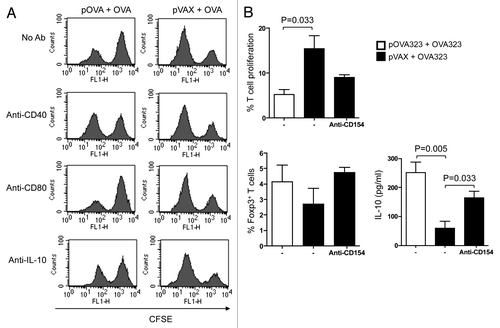 Figure 1. Both CD40 and IL-10 signals of DCreg were required for Tregs development in vitro. (A) For in vivo generated DCreg, DCreg were isolated from spleen of DNA plus antigen co-administrated mice and co-cultured with CFSE labeled syngeneic naive CD4+ T cells in the presence of mAb (50 μg/ml) to CD40 (a stimulator), CD80 (a blocker) and IL-10 (a blocker) or an isotype control. T cells isolated from DC-T co-cultures were analyzed for their abilities to inhibit MLR. After 48 h, T cell proliferation was analyzed by FACS and cells were gated on the CFSE positive population. Results are representative of three experiments. (B) For in vitro generated DCreg, co-treated DC were co-cultured with CFSE-CD4+ T cells purified from spleens of mice immunized with OVA in IFA and in the presence or absence of anti-CD40L (blocker) for 5 d. T cell proliferation and the productions of Foxp3 and IL-10 were detected by FACS. P values (Mann-Whitney test) are indicated.