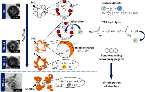 Figure 5. Formation mechanism of SnO2@SnS2 multi-core-shell mesoporous heterostructures.