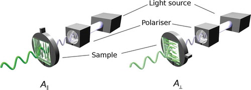 Figure 3. (colour online) Schematic diagram of the experimental set-up for measuring the polarised absorbance of an aligned guest–host sample.