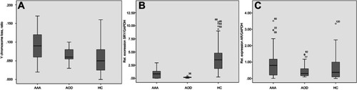 Figure 4 Y chromosome loss ratio (A), mRNA level of SRY (B), and mRNA level of AR (C) in peripheral T cells in AAA, AOD, and HC groups. Note, AAA (n=37), AOD (n=12), and HC (n=91) groups. Shapiro–Wilk’s test for three groups achieved P-value of 0.418, 0.821, and <0.001, respectively. Thus, the sample was not normal distributed and Mann–Whitney U test was used for the HC group compared with AAA and AOD groups. Relative to AOD and HC groups, AAA group showed a significant increase of Y chromosome loss; (B) AAA (n=32), AOD (n=12) and HC (n=54) groups. Shapiro–Wilk’s test for three groups achieved P-value of 0.001, 0.465, and <0.001, respectively. Thus, the sample was not normal distributed and Mann–Whitney U test was used for the individual comparison group. Compared with HC group, AAA and AOD groups showed a significant decrease of SRY mRNA expression; (C) AAA (n=32), AOD (n=12), and HC (n=54) groups. Shapiro–Wilk’s test for three groups achieved P-value of <0.001, 0.001, and <0.001, respectively. Thus, the sample was not normally distributed and Mann–Whitney U test was used for individual comparison group.