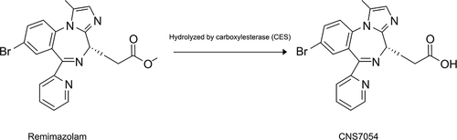 Figure 3 Catabolic process remimazolam and the carboxylic acid metabolite CNS7054.
