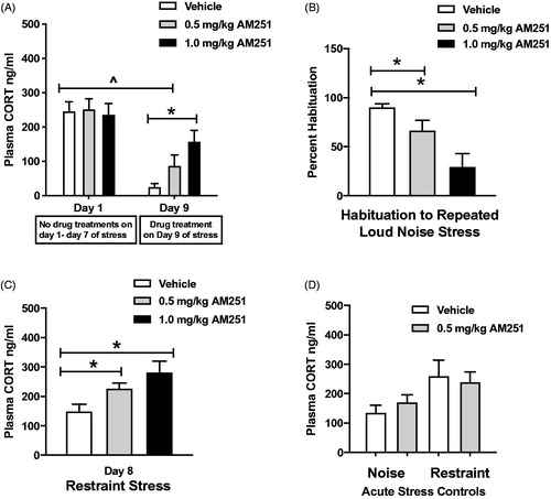 Figure 4. Low doses of CB1 receptor antagonism partially disrupt the expression of CORT response habituation to loud noise stress, and result in sensitized response to a heterotypic stressor. (A) Vehicle and 0.5 mg/kg AM251 treatment groups display significant habituation on Day 9 (^p < 0.05, RM two-way ANOVA with Bonferroni post hoc mct). 1.0 mg/kg AM251 significantly reduced the expression of habituation on Day 9 (*p < 0.05, planned t-test comparison). 0.5 mg/kg treatment did not reach significance in this measure (p = 0.1, planned t-test comparison). (B) Plasma CORT response to repeated noise stress graphed as percentage of Day 1 response. Both doses of AM251 significantly reduced the percentage of habituation, indicating a disruption of the expression of habituation (*p < 0.05, planned t-test comparisons). (C) Day 8 cross-sensitization testing. Repeatedly stressed rats displayed significantly increased plasma CORT response to restraint, compared to vehicle-treated group (*p < 0.05). (D) Acute noise and restraint stress controls. 0.5 mg/kg AM 251 did not potentiate plasma CORT response to the initial loud noise exposure in acute stress control rats (p = 0.34, t-test). Tissue was collected from rats after acute noise stress for comparisons of neural activity to repeatedly stressed rats. In a separate cohort of rats without recent repeated stress history, 0.5 mg/kg AM251 did not potentiate plasma CORT response to restraint stress (p = 0.75, t-test).