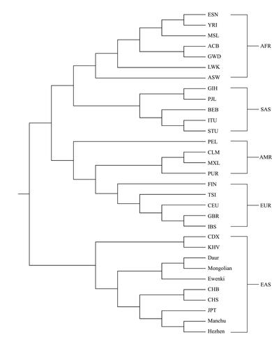 Figure 2 Phylogenetic trees of 31 populations from around the world.