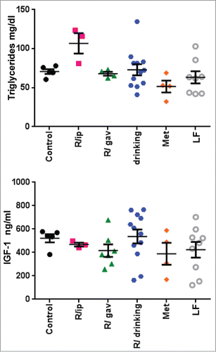 Figure 4. Blood IGF1 and triglyceride levels in 23 month-old mice on high fat diet 15 months from the beginning of treatment with different schedules of rapamycin or metformin. IGF1 and triglyceride concentration. Data are mean ± SE.