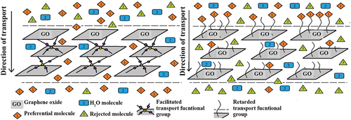 Figure 4. The mechanisms of facilitated and retarded transport of enantiomers through a solid Graphene oxide membrane (inspired by[Citation125]).