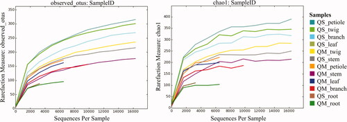 Figure 2. Rarefaction curves described for observed OTUs metric (left) and chao1 metric (right) among all 12 samples (QS: Quercus serrata; QM: Quercus mongolica).