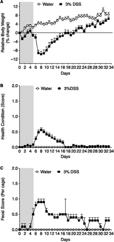 Figure 2 Effects of exposure to 3% DSS on clinical symptoms: (A) body weight, (B) general health condition and (C) faecal consistency were assessed as clinical indicators. Data are group mean ± SEM and correspond to pooled data from all mice receiving 3% DSS for 5 days (n = 24) or normal water (n = 24) throughout the experimental days 0–33. The shadowed area represents the 5-day period of 3% DSS exposure.