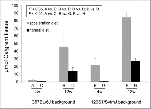Figure 2. Quantitation of the ectopic mineralization in the muzzle skin containing the dermal sheath of vibrissae by direct chemical assay of calcium. The pregnant mothers were kept either on acceleration diet or on normal rodent diet, and the pups representing 2 different strain backgrounds as indicated, were examined at 4 and 12 weeks of age. For designation of the treatment groups, see Table 1. (The values are mean + SE, n = 7–9 mice per group; statistical analysis was performed with Student's 2-tailed t-test).