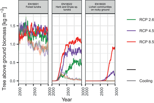 Figure 4. Temporal changes in simulated larch aboveground biomass (AGB) of representative sites from Citation2000 to Citation3000 CE.