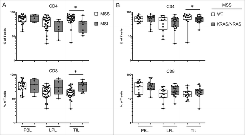 Figure 6. T-cell populations vary in function of the type of oncogenic status of the tumor. (A) Comparison of the percentage of CD4 and CD8 T cells in PBL, LPL, and TIL from patients with microsatellite instability (MSI) or stability (MSS). (B) Comparison of the percentage of CD4 and CD8 T cells in PBL, LPL, and TIL from MSS patients with or without identified KRAS or NRAS mutations. LPL, lamina propria lymphocytes; MSI, microsatellite instability; MSS, microsatellite stable; PBL, peripheral blood lymphocytes; TIL, tumor-infiltrating lymphocytes.