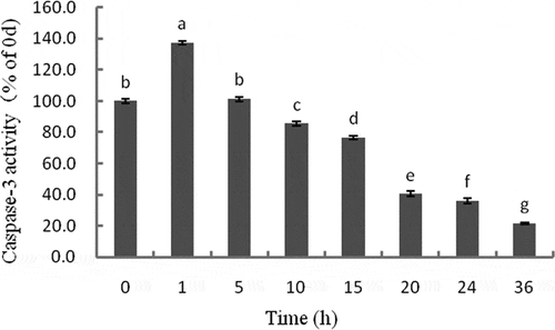 Figure 2. Changes in caspase-3 activity of tilapia skeletal muscles during 36 h storage. The activity is expressed in the fold change relative to 0 h. Different letters indicate significant difference (P < 0.05).