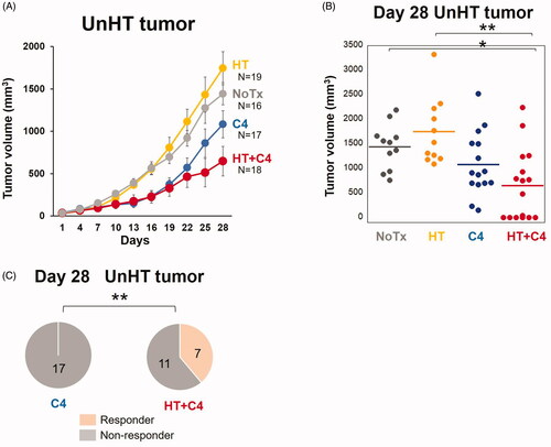 Figure 5. Effect of local HT on the abscopal effect. (A) Tumor growth curves for UnHT tumors (NoTx: N = 16, HT: N = 19, C4: N = 17, HT + C4: N = 18). (B) Distribution of the tumor volume in the mice of each group on day 28. (C) Number of responders in the C4 and HT + C4 groups. A responder is defined as a mouse with a smaller tumor volume on day 28 than on day 1. Data are combined between two independent experiments. Error bars represent SEM. *p < 0.05, **p < 0.01. Abbreviations. HT: Hyperthermia; C4: CTLA-4 blockade.