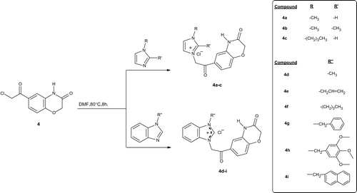 Scheme 4. Synthesis of benzoxazinone bearing imidazolium and benzimidazolium salts (4a–i).