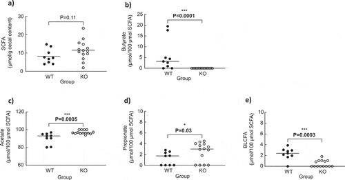 Figure 3. Cecal SCFA, branched long-chain fatty acid (BLCFA), acetate, propionate, and butyrate concentrations in quails monoassociated with the wild type (WT) (n = 9) or knock-out (KO) (n = 14) C. butyricum CB1002 strains. Data are individual results with medians. Statistical significance was set at P < .05.