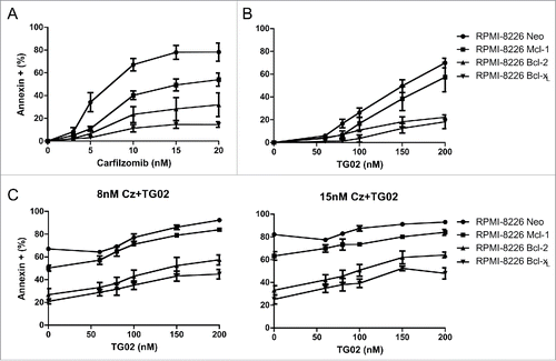 Figure 5. Overexpression of Mcl-1 in RPMI-8226 cells confers significantly less protection than over expression of Bcl-2 or Bcl-xL.RPMI-8226 cells overexpressing the anti-apoptotic proteins shown were treated with increasing doses of (A) carfilzomib (B) TG02 or (C) the combination for 24 hours. Cell death was determined via Annexin-V-FITC/PI flow cytometry. Data are presented as mean +/− SEM of at least 3 independent experiments. Statistical analysis for RPMI-8226 Mcl-1 over expressing cells only shown. *p > 0.05, **p > 0.01, ***p > 0.001.