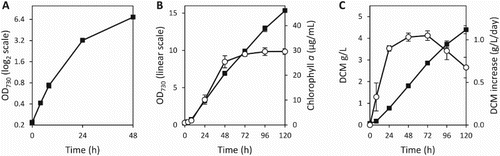 Figure 6. Growth characteristics of Synechococcus 7002 in the large vessels. A, Photoautotrophic growth, measured by the OD730, over the first 48 h displayed on a logarithmic (base 2) scale; B, extended growth out to 120 h displayed on a linear scale, showing the OD730 (▪) and chlorophyll a concentration (○); C, DCM, normalised to the volume of culture (▪), and rate of DCM increase between measurements, normalised to a 24 h period (○). Data presented are the mean of three independent experiments, and the error bars represent the standard deviation.