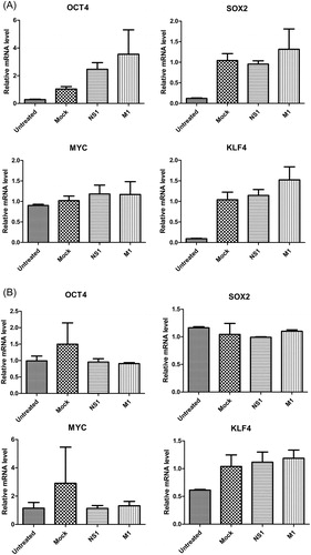 Figure 5. Effects of influenza virus proteins NS1 and M1 on the gene expression of Yamanaka factors in A549 cells (A) and HEK293T cells (B).Note: Differences are not statistically significant.