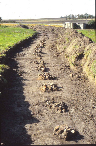 Figure 1. Fire pit line from Roskilde, Denmark, looking southwest. Photograph reproduced with the permission of Roskilde Museum.