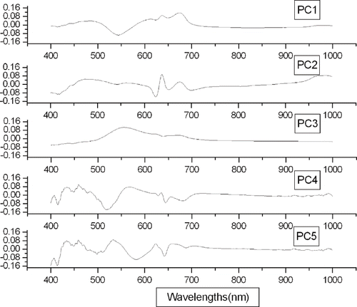 Figure 7 Loadings of first five principal components from the Shatangju across the entire spectral region.