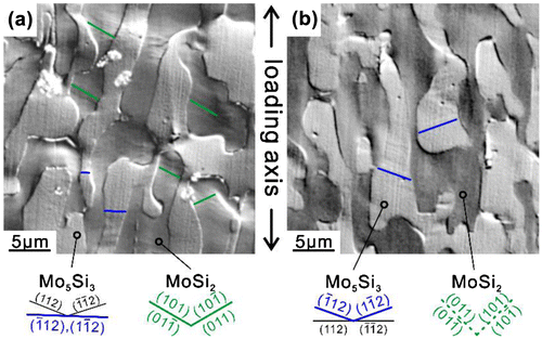 Figure 7. Deformation markings observed on two orthogonal surfaces parallel to (a) (110)MoSi2 and (b) (001)MoSi2 of a [11¯0]MoSi2-oriented specimen of a binary DS eutectic composite deformed at 1000 °C.