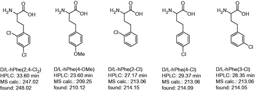 Figure 2. Analytical data and abbreviations of prepared racemic homo amino-acids. Their determined mass corresponds to the (M + H)+ ion, the HPLC analysis started at 1% solvent B.