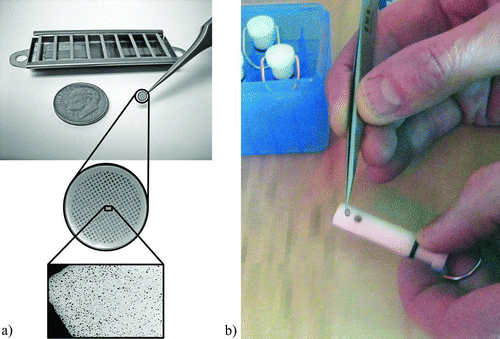 FIG. 4 (a) Tweezers are used to handle grids and a radiation source (background) helps to prevent static charge. (b) Sample media is placed onto the ground post of a key for use in the ESP (sealable case for keys in background).