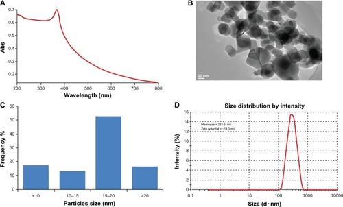 Figure 1 Characterization of ZnONPs (A) UV-visible spectrum of ZnONPs. (B) TEM image. (C) The size distribution histogram generated by using TEM image. (D) Size distribution and zeta potential of ZnONPs were determined using dynamic light scattering (DLS).Abbreviations: Abs, absorbance; ZnONPS, zinc oxide nanoparticles; UV, ultra violet; TEM, transmission electron microscope.