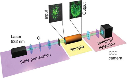 Figure 14. Experimental setup. A CW laser beam, λ=532nm, is sent through a 4-f telescope. A ground-glass plate G, placed in the midst of the telescope (on the focus of the first lens), generates a speckle pattern. The incoherent beam impinges the samples, a cylindrical tube filled with a solution of methanol and graphene nanoscale flakes, with waist W0=2.3mm, while the initial coherence length λc0 is controlled by changing the beam size on G. A CDD camera detects the output.Reprinted by permission from Macmillan Publishers Ltd. from [Citation39]. Copyright 2015.