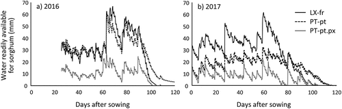 Figure 2. Amount of water readily available for sorghum within the effective soil depth for each dominant soil type.