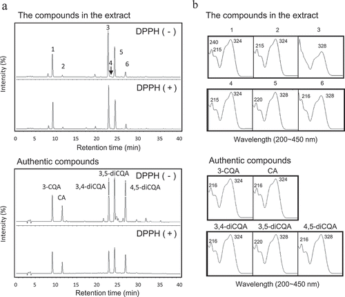 Figure 2. Antioxidant activity of the flower bud extracts of P. japonicus based on the online HPLC-DPPH method.Antioxidant compounds in the 80% ethanol extracts from Awaharuka were investigated using the online HPLC-DPPH method. HPLC profiles of compounds treated with DPPH or without DPPH (a). UV-vis spectra of six major peaks and tentative commercial compounds (b). The compounds in the extract and authentic compounds were separated on a TSK ODS 80T column and monitored at 325 nm.