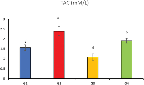 Figure 1. Effect of diet supplementation with Nutrifix on serum total antioxidant capacity (TAC) of broiler chickens (day 33). (G1), control group (basal diet); (G2), basal diet +250 g NutriFix®/Ton of feed; (G3), basal diet + florfenicol (25 mg/Kg body weight) in drinking water for 5 days; (G4), basal diet +250 g NutriFix®/Ton of feed + florfenicol (25 mg/Kg body weight) in drinking water for 5 days. a,b,c,d mean values with different letters on the same columns indicate significant differences (Tukey’s test; p ≤0.05).