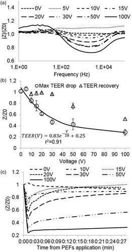 Figure 3. (A) Change in the modulus of the impedance immediately after PEFs application normalized to baseline as a function of the frequency for different PEFs amplitudes. The main effect is observed in the midrange frequencies. (B) Fold change in TEER immediately and 24 h post PEFs application as a function of the applied voltage. (C) TEER extracted from the impedance modulus and phase as calculated by the Cellzscope algorithm as a function of time post PEFs application.