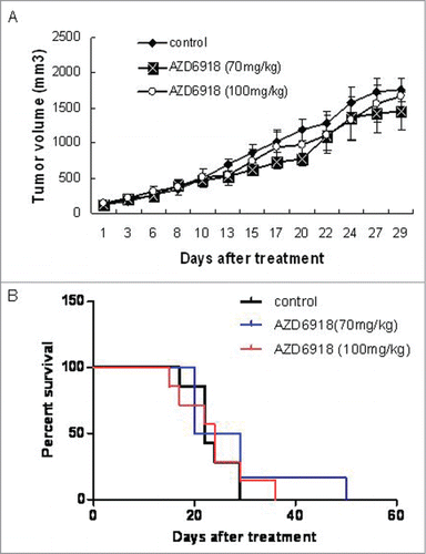 Figure 3. Effect of AZD6918 as a single agent on TB3 xenograft tumor growth and mice survival. Mice with TB3 subcutaneous tumors were treated with vehicle or AZD6918 (70 mg/kg, 100 mg/kg) twice a day, 7 d a week. At day 29 of treatment, the tumor sizes in each group were compared (A). The mice survivals in each group were plotted by Kaplan-Meier analysis (B).