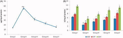 Figure 5. Antioxidant effect of silver nanoparticles synthesized from Alpinia officinarum (lesser galangal) traditional Chinese medicinal plant (AG-AO) against oxidative stress induced by cisplatin nephrotoxicant. The levels of malonaldehyde (MDA), end product of lipid peroxidation were estimated in the kidney tissue of control and experimental rat (A). (B) Depicts the levels of antioxidant SOD, catalase and reduced glutathione in the kidney tissue of control and experimental rats. The values of SOD were expressed as Enzyme concentration required to inhibit the chromogen produced by 50% in one min under standard condition. The values of CAT were expressed as µmole of hydrogen peroxide decomposed/min. The values of GSH were expressed as µg of reduced glutathione formed/min, respectively. The values depicted in the table are the mean ± SD of six rats in each group. *p ≤ .05, #p ≤ .01 considered to be statistically significant.