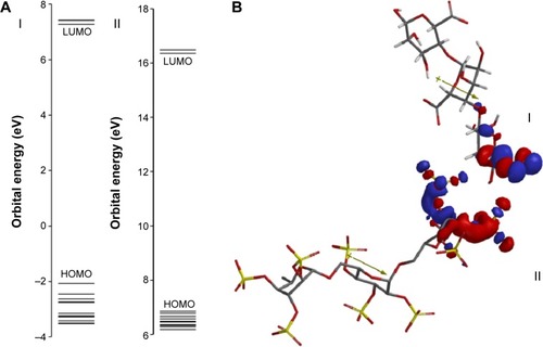 Figure 7 Predicted interaction between biopolymers based on distribution of frontier molecular orbitals (HOMO and LUMO).Notes: (A) HOMO-LUMO gap and (B) interaction between alginate (I) and dextran sulfate (II) based on their distribution coefficients of HOMO and LUMO, respectively. The positive and negative regions are represented by blue and red colors, respectively.Abbreviations: HOMO, highest occupied molecular orbital; LUMO, lowest unoccupied molecular orbital.