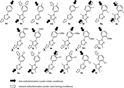 Figure 4. N-Arylpyrazole substrates 6a-t investigated in direct mono- and bis-sulfochlorination reactions (regiochemistry established for the respective mono- and bis-sulfonamides).