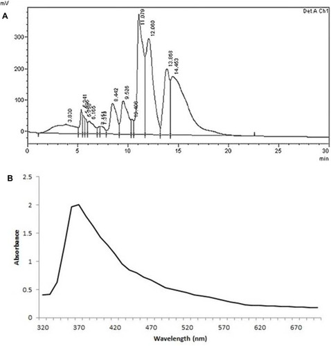 Figure 1 Phenazine-1 carboxylic acid production by bacteria. Bacterial cultures were grown in presence of Tryptophan. The cell free supernatant was acidified and extracted using benzene. The samples were dried and dissolved in NaOH and (A) HPLC analysis revealed characteristic retention time at 9.5. Also, (B) UV-Vis spectrophotometer analysis showed an absorption maximum recorded at 370 nm.