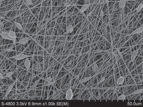 Figure 4. SEM of nanofibers from PLGA-SF NCs prepared at a distance of 10 cm. Note the high numbers of droplets and beads.