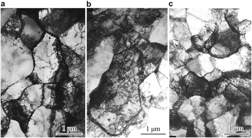 Figure 3. TEM observations of dislocation sub-structure evolutions. a and b, Increase in dislocation entanglement, especially at/near grain boundaries at ∼250 and 300 μm deep from top surface and at applied tensile strain of 3%. Also note dislocations in grain interior. c, Dislocations in grains at ∼250 μm deep from top surface and at applied strain of 15%.