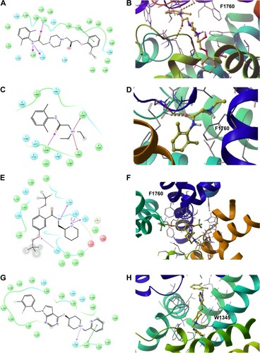Figure 12 The 2D (left panel) and 3D (right panel; top view) ligand interactions for selected four hNav1.5 blockers under study. (A, B) Ranolazine, (C, D) lidocaine (E, F), flecainide, and (G, H) CHEMBL2012299. In contrast to ranolazine, lidocaine, and flecainide that bind to the center of the channel close to Phe1760, the binding mode of CHEMBL2012299 shows that it is shifted to the fenestration sites of the hNav1.5 protein.