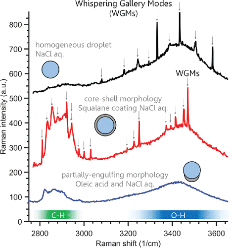 Figure 2. Example Raman spectra from tweezed droplets with whispering gallery modes (WGMs) indicated by arrows. Top: A homogeneous, aqueous NaCl droplet has only the broad O-H Raman band (spectral range indicated by the bottom right [blue] bar). Middle: The squalane coated aqueous NaCl droplet has both the O-H and C-H Raman bands, where the C-H Raman band is caused by the squalane (spectral range indicated by the bottom left [green] bar). Both broad modes support WGMs. Note the circular tipped pointers indicate narrower Raman features indicative of squalane, on top of which WGMs can also form. Bottom: A spectrum from a partially engulfed morphology of oleic acid and aqueous NaCl, where both the broad C-H and O-H modes are observed, but no WGMs are present.