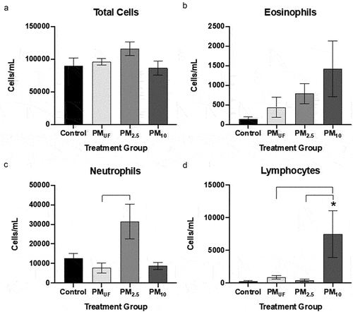 Figure 10. Total cells and cell differentials collected from BALF in female mice 24 hr post sub-acute exposure to PM. panel a) graph shows total cell counts reflecting the number of cells per mL of BALF collected. Panels b-d) graphs of cell differentials based upon representative counts of 500 cells/mouse. For each endpoint, data were analyzed using a one-way ANOVA to test the effect of particle size on cell counts/mL, and a post-hoc Tukey’s multiple comparison test to determine statistical differences between specific exposure groups. N = 6/gender/group for all endpoints. Statistical significance was determined at a level of p < 0.05 for all ANOVAs and Tukey’s tests. The asterisk (*) signifies a significant (p < .05) difference from control, and brackets signify significant (p < .05) differences between groups exposed to different PM size fractions.