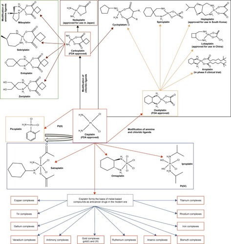 Figure 1 Evolution of organometallic complexes in cancer therapy.