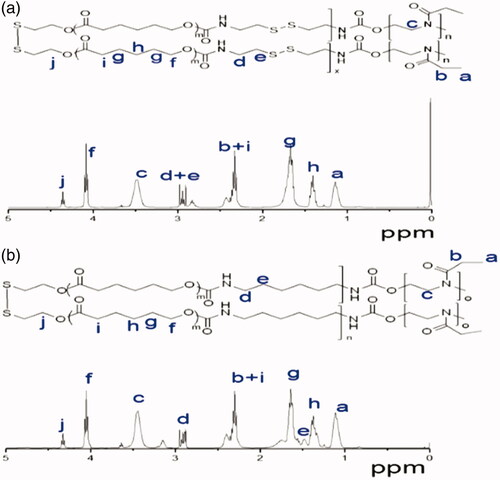 Figure 2. (a) 1H NMR spectrum (400 MHz, CDCl3) of PEtOz-b-PU (SS)-b-PEtOz copolymer. (b) 1H NMR spectrum (400 MHz, CDCl3) of PEtOz-b-PU-b-PEtOz copolymer.