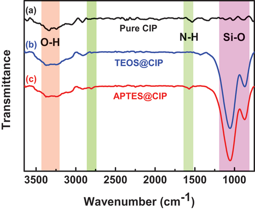 Figure 3. FT-IR spectra of (a) pure CIP, (b) TEOS@CIP and (c) APTES@CIP.